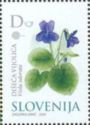 Sweet Violet (Viola odorata) - Medicinal Plants