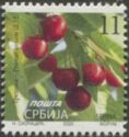 Cherry (Prunus avium (L.) L.)