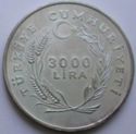 3,000 Lira (International Year of Disabled Persons)