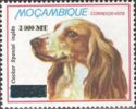 English Cocker Spaniel (Canis lupus familiaris) overprint