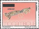 Zebra Mantis Shrimp (Lysiosquilla maculata), overprint