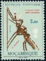 Anopheles Mosquito (Anopheles sp.)