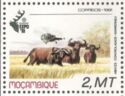 African Buffalo (Syncerus caffer), Helicopter