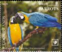 Blue-and-yellow Macaw (Ara ararauna)