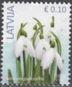 White Snowdrop (Galanthus nivalis)
