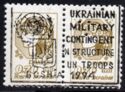 Ukrainian Forces in Bosnia