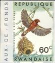 Red-billed Quelea (Quelea quelea aethiopica)