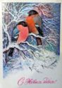 Happy New Year! Bullfinches