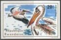 Great White Pelican (Pelecanus onocrotalus)