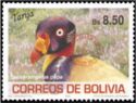 King Vulture (Sarcoramphus papa)