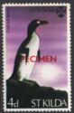 Great Auk (extinct) - Specimen