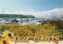 Door County, Marina