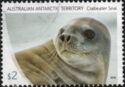 Head of Crabeater Seal (Lobodon carcinophagus)