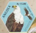 African Fish-Eagle - National Bird of Namibia