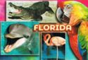 Florida. Wildlife