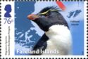 Southern Rockhopper Penguin (Eudyptes chrysocome)
