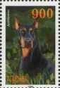 Doberman