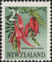 Kowhi Ngutu-kaka (Clianthus puniceus)