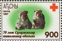 Two Monkeys and Emblem of the Red Cross