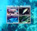 Fishes of the Maldives