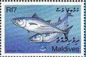Skipjack tuna (Katsuwonus pelamis)