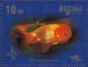 Goldfish (Carassius auratus)