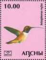 Rufous hummingbird (Selasphorus rufus)