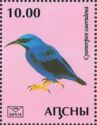 Purple honeycreeper (Cyanerpes caeruleus)