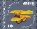 Pholiota flammans