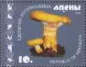 Lactarius scrobiculatus