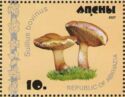 Suillus bovinus