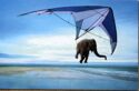 Flying Elephant