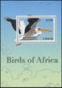 Birds of Africa