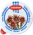 Alpine Flowers
