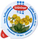 Alpine Flowers - Aurikel