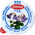 Alpine Flowers - Alpenglöckchen
