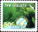 Corals, Dusky Sound - Fiordland - Booklet Issue