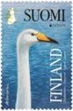 Europa (C.E.P.T.), National Birds, Whooper Swan