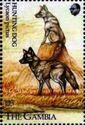 Hunting Dog (Lycaon pictus)