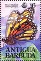 Monarch Butterfly (Danaus plexippus) - Overprinted