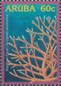 Staghorn Coral (Acropora cervicornis)