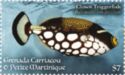 Clown triggerfish