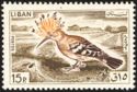 Eurasian Hoopoe (Upupa epops)