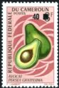 Avocado (Persea americana)- surcharged
