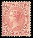 Queen Victoria (1819-1901) (rose)