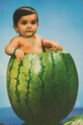 Karpuz İçinde Çocuk - The Boy in a Watermelon