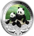 1 Dollar (Giant Panda)