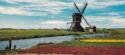 Holland. Land of Flowers and Wind-mills