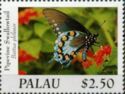 Pipevine Swallowtail (Battus philenor)