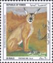 Caracal (Caracal caracal)